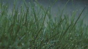 Дождь и гром для сна - звуки дождя 2 Часа