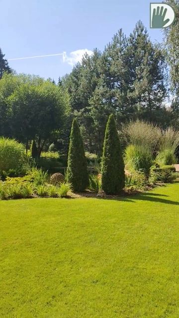 Надежный причал, сад из ЗОЛОТОЙ КОЛЛЕКЦИИ Цветущей Планеты! #youtubeshorts #ландшафтныйдизайн смотреть онлайн