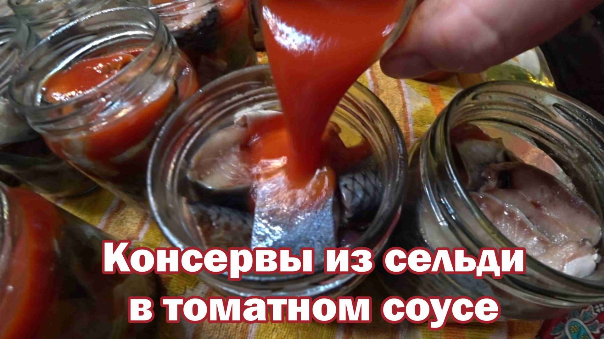 Домашние консервы из селедки в томатном соусе смотреть онлайн