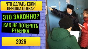 Что делать, если к вам пришла опека? Как подготовиться и избежать проблем