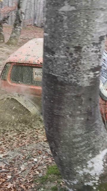 Нива m111 турбо, на тракторах Бойко