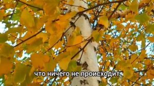 Катя заметила, что подруга косо смотрит на неё .А проследив за ней, увидела кто у неё любовник...