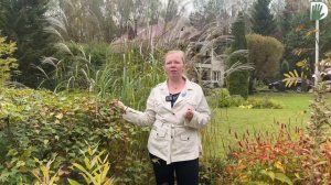 Видео журнал "СОФ №158" - Посмотрите, как много интересного в одном саду!