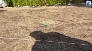 "ШАГ за ШАГОМ" № 2 - Создаем сад с Еленой Гончаровой. Выбор растений и посадки