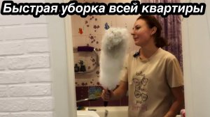 БОЛЬШАЯ УБОРКА КВАРТИРЫ/МОТИВАЦИЯ НА УБОРКУ