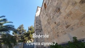 Вифезда (Овчая купель) — название купальни (водоёма) в Иерусалиме.