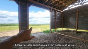 Ep.281 Dead Chicks Everywhere (Russian Subtitles)