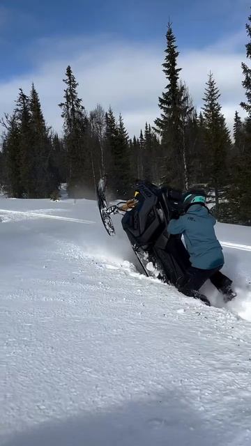 На снегоходе и не такое возможно смотреть онлайн
