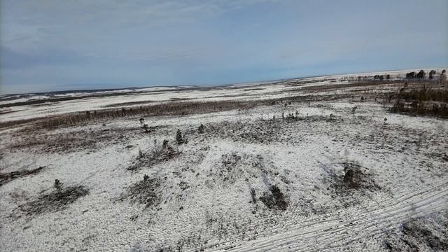 Зимняя быль.