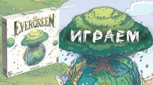Evergreen. Зелёный мир - Играю соло в настольную игру