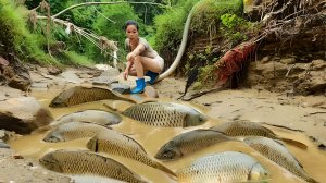 Впечатляющие уловы от простых приспособлений. Ловлю рыбу и продаю. Жизнь во Вьетнаме