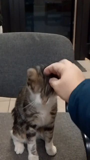 1000079372.mp4 смотреть онлайн