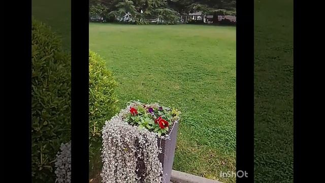 Сказочно красивая территория в гостинице Сочи Гранд Отель Жемчужина****