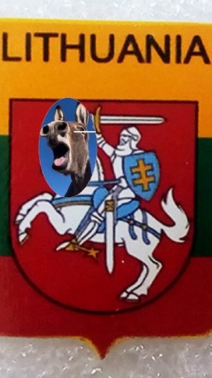 Саблезубый осел