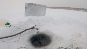 Рыбалка у чëрной дыры. Ловля налима. Шестнадцатая серия.