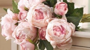 Самые красивые и трогательные поздравления с днем рождения - своими словами для женщины