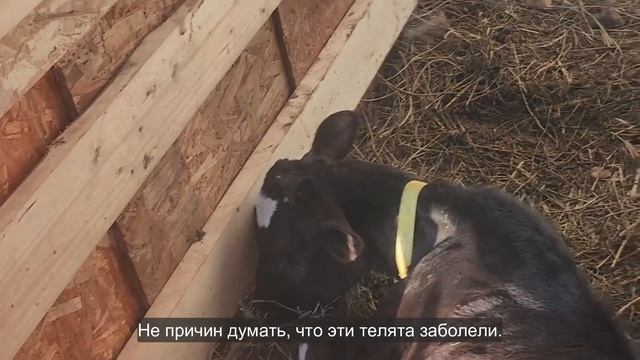 Ep.283 Please Continue To Pray (Russian Subtitles) смотреть онлайн