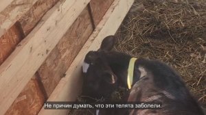 Ep.283 Please Continue To Pray (Russian Subtitles)