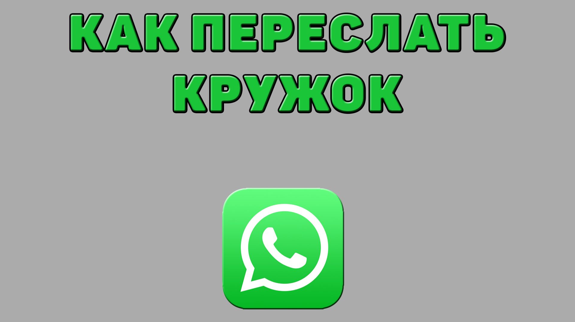 Как переслать кружок в Ватсапе смотреть онлайн