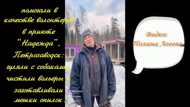 Воскресный день в приюте
