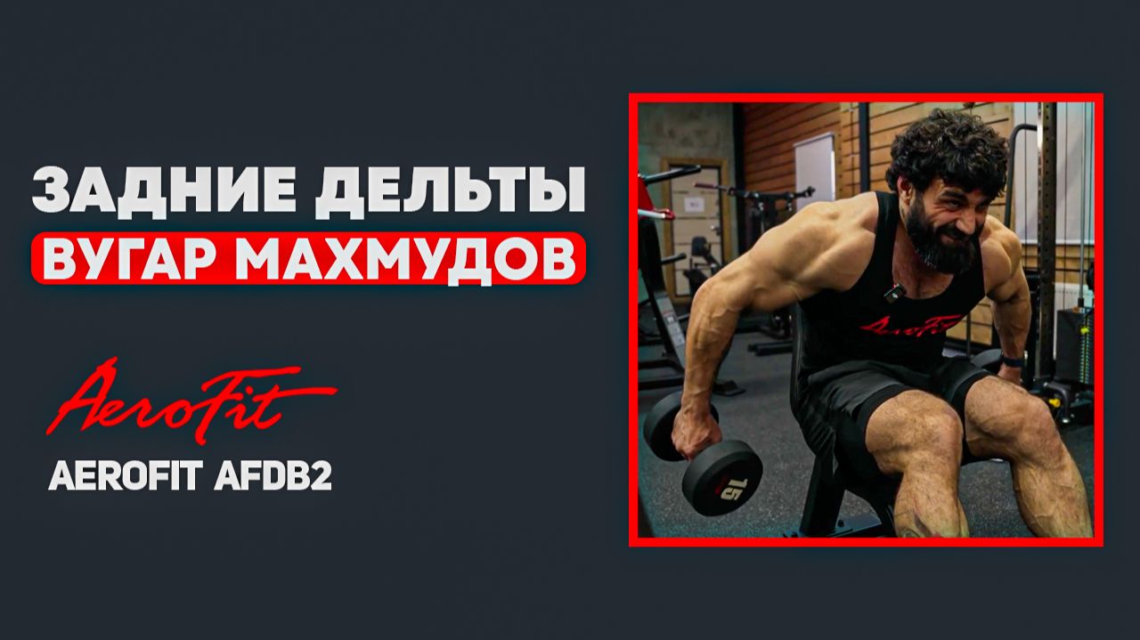 ЭФФЕКТИВНОЕ Упражнение на Задние Дельты Aerofit AFDB2 смотреть онлайн