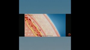 Обзор лучших подарков к любому празднику! Выбирайте для себя лучшее!