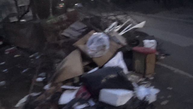 2 декабря 2025 года - 17-02 мск - осмотр незаконной мусорки