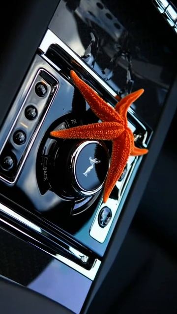 Взгляни на Rolls Royce другими глазами 🐠  #автомосква #DaytonaMoscow #RollsRoyce