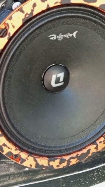 Обзор звучания динамиков DL Audio Barracuda 165 SE #drive2 #automobile #нижнийновгород  #bass #жара