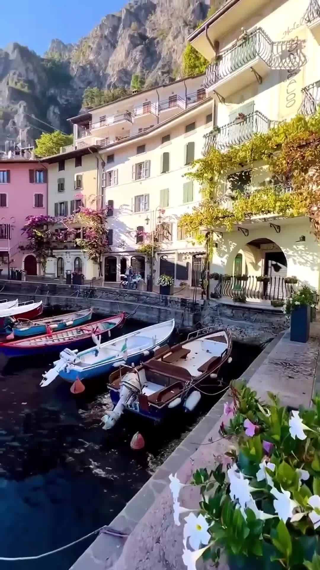 В городе Гарда на озере Гарда туристы и местные жители наслаждаются лазурной водой, оливковыми ро... смотреть онлайн