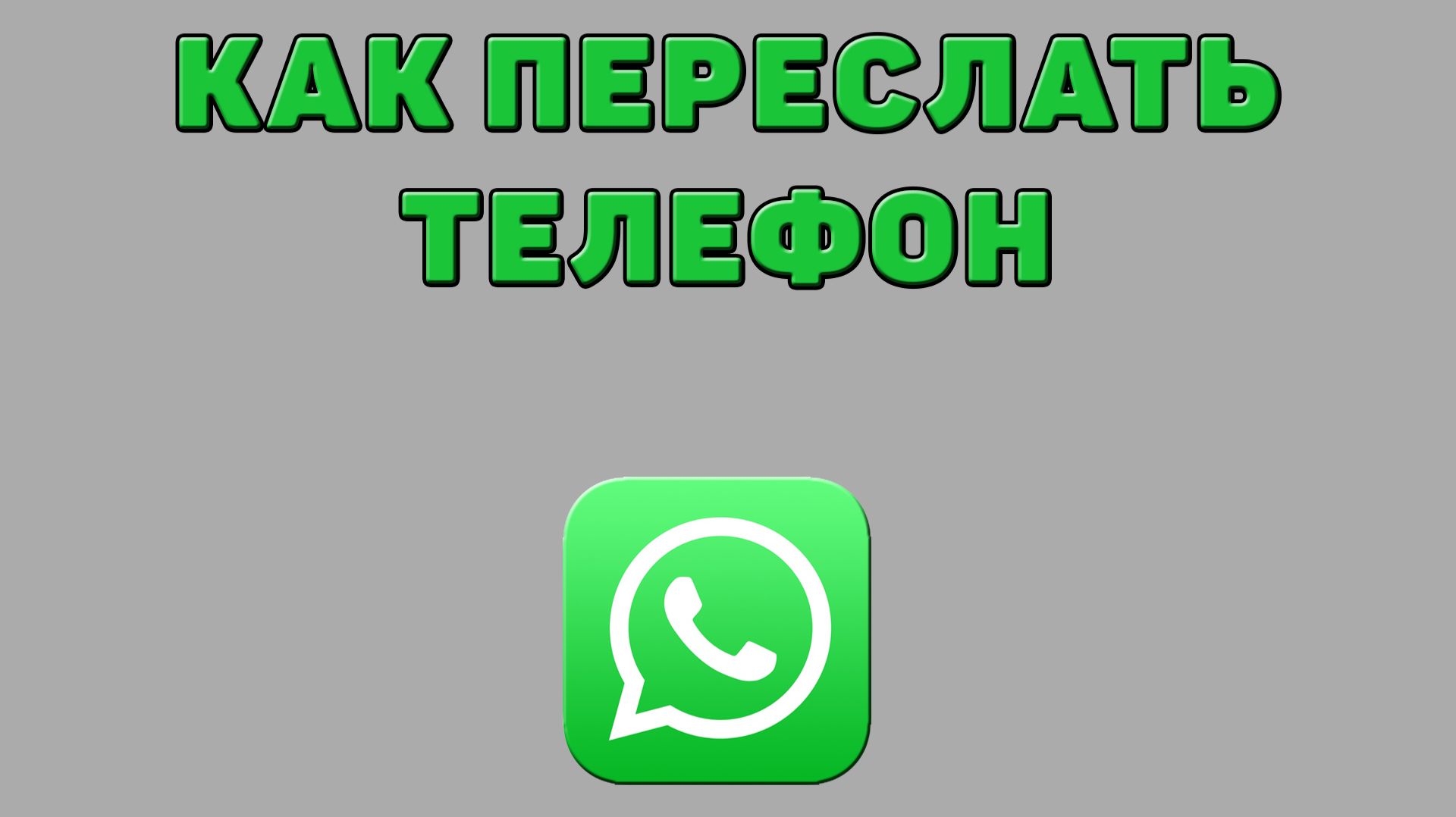 Как переслать телефон в Ватсапе смотреть онлайн