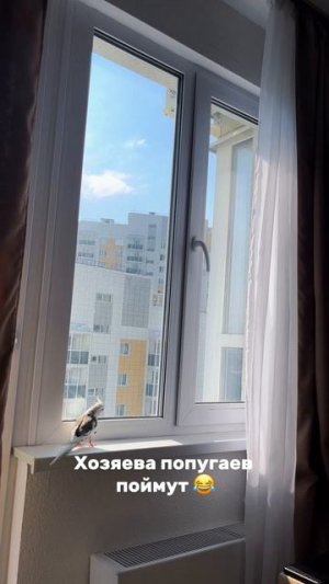 Милашка?