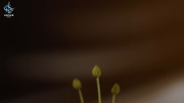 Как отчистить сердце. Взгляд, лишающий Рая || Ansar Media смотреть онлайн