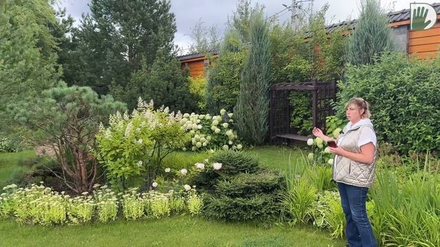 Видео журнал "СОФ №146" - Обсуждаем полезные идеи и решения для удобного семейного сада смотреть онлайн