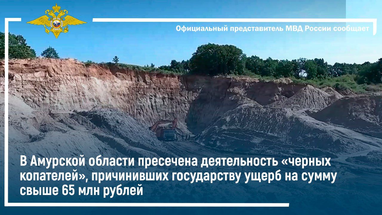 В Приамурье пресечена деятельность «черных копателей», причинивших государству ущерб в 65 млн рублей смотреть онлайн