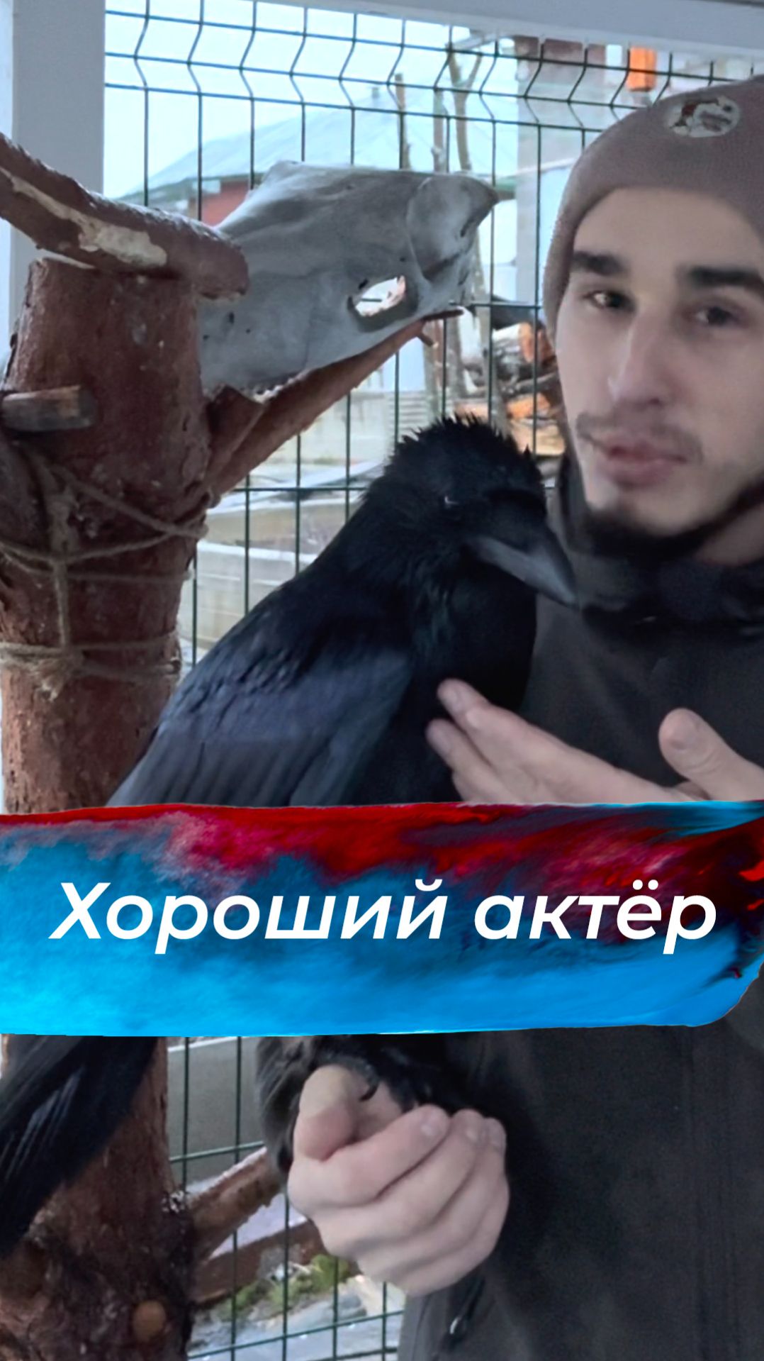 Подробности ниже: смотреть онлайн