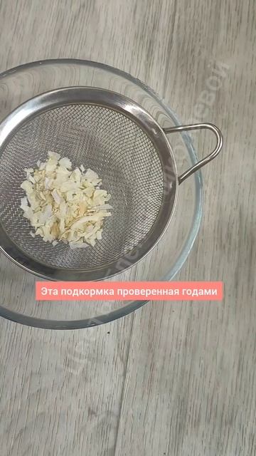 Эти 2 ПОДКОРМКИ для всех ЦВЕТОВ даже самые слабенькие оживают и зеленеют смотреть онлайн