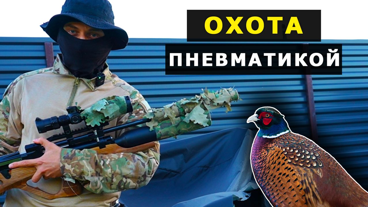 ОХОТА с ПНЕВМАТИКОЙ на ФАЗАНА часть 1 смотреть онлайн