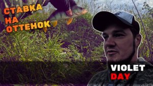 Violet Day. И почему я раньше не верил в этот цвет?!