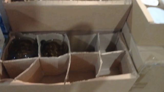 СВЕТОФОР🚦Делимся опытом покупок в магазине ✅Большой Обзор смотреть онлайн