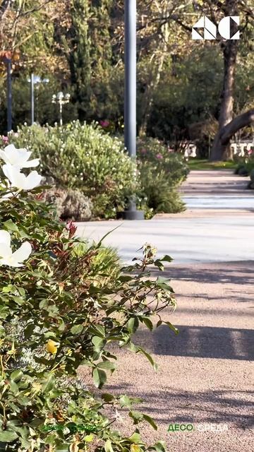 Декабрь в сквере «Стерео» звучит тонко, как камерная музыка