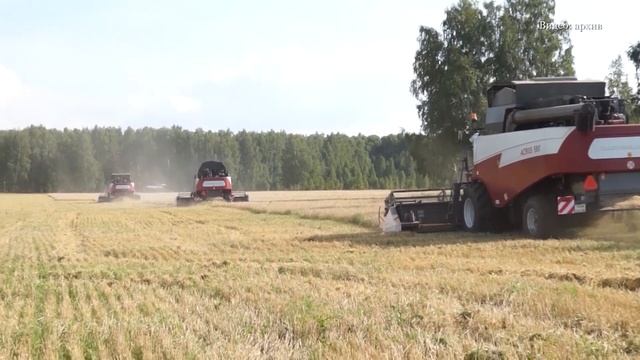 Работники сельского хозяйства отметили профессиональный праздник. Панорама 02.12.25 смотреть онлайн