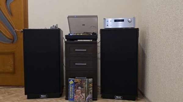 Iron Maiden - Wasted Years (Original Vinyl - Japan Special Edition – S33-1003)