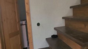 Ep.273 This Girl Is Taking Over the Show (Russian Subtitles)