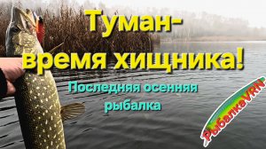 [2025]Рыбалка на спиннинг в ноябре 5