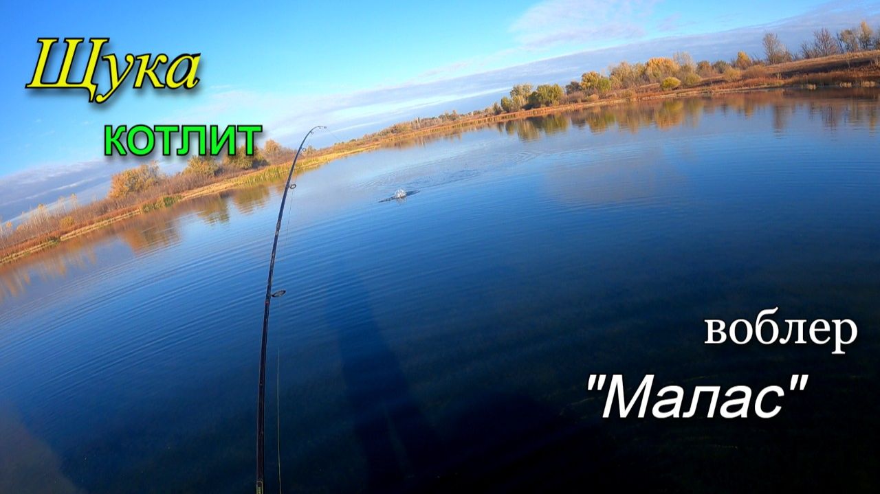 Щука дуреет с этой приманки. Поставил воблер малас и начался клев смотреть онлайн