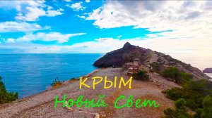 КРЫМ - полное ЗАПУСТЕНИЕ! скучают даже Животные ! Чем заняться зимой в Крыму. поселок Новый Свет