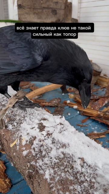 Подробней тут: смотреть онлайн