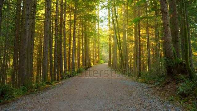 ОТДЫХ В САНАТОРИИ