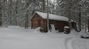 Сорок сантиметров снега! Проверяем капканы на соболя.
